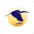 Great Bay Mobile APK