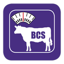 BCI Body Condition Score APK