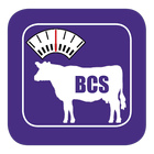 BCI Body Condition Score أيقونة