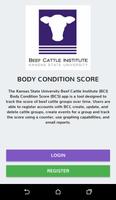 BCI Body Condition Score plakat