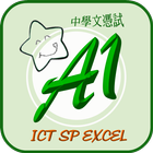 LCGSS DSE ICT EXCEL 摘要A1升Le記事本-icoon