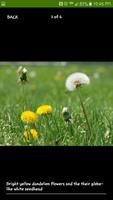 Purdue Turf Doctor скриншот 2