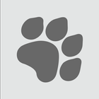 CatMapper icon