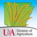 Rice Advisor