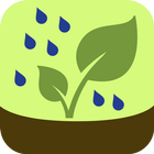 Rain Garden icono
