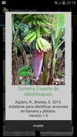 برنامه‌نما Banana Weed Identification عکس از صفحه