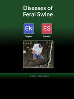 Feral Swine poster