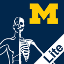 MSK Anatomy Lite - SecondLook APK