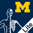 MSK Anatomy Lite - SecondLook иконка