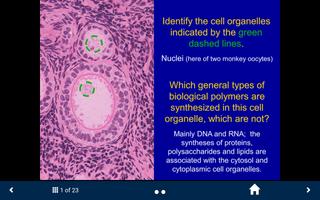 Histology 스크린샷 1