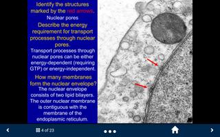 Histology اسکرین شاٹ 2