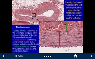 Histology Lite - SecondLook captura de pantalla 2