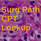 Icona Surgical Pathology CPT Lookup