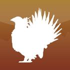 The Sage-Grouse in Utah آئیکن
