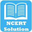 NCERT Solution, Board Papers, RD Sharma Solution's