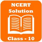 NCERT Solution Class 10 icône