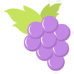 Raccogli Uva icon