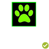 My chat noir APK