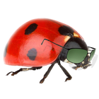 Le Coccinelle Paralpiniste icône