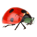 Digital Drug Bug APK