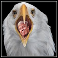 Trump Dodge