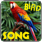 Song of Birds. icône