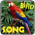 Birdsong. ícone