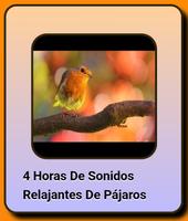 Birdsong. imagem de tela 1