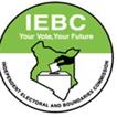 IEBC Provisional Results