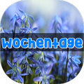 Wochentag