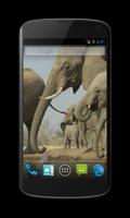 Elephant Free Video Wallpaper screenshot 1