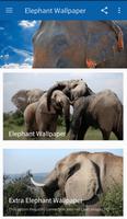 Elefanten-Tapete Plakat
