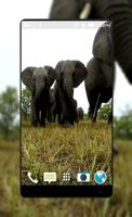 Elephant Live Wallpaper पोस्टर