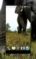 Elephant Live Wallpaper स्क्रीनशॉट 2