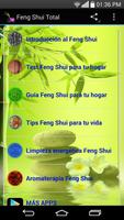 Feng Shui Total Poster