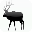 Elk Body Condition Scoring