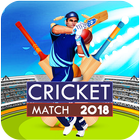 Cricket Match 2018 Zeichen