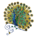 APK Peacock Color by Number Pixel Art Sandbox Pages