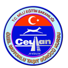 Ceylan Ehliyet Deneme Sınavı icon