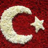 Türk Bayrağı ve Bozkurt Duvar Kağıtları