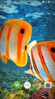 Flora Coral Fish 3D Live WP स्क्रीनशॉट 1
