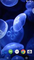Jellyfish Medusa LiveWallpaper capture d'écran 3