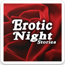 Erotic Night Stories APK