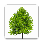 Sonidos de la Naturaleza - Relajación APK