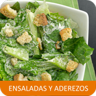 Recetas de ensaladas y aderezos en español gratis. 아이콘