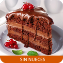 Recetas sin nueces en español gratis sin internet. APK