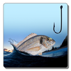 APK Fishing Day