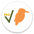 Birds Check Pro