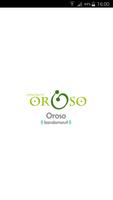 Oroso Informa ภาพหน้าจอ 3