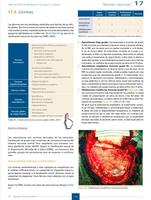 MIR 9ª Ed CTO syot layar 1